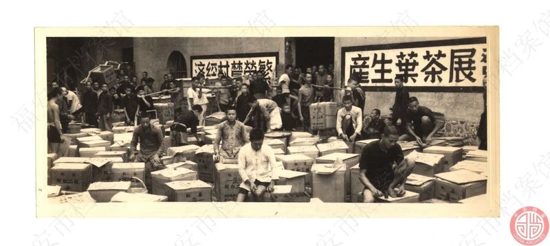 关于两岸茶人齐聚中国红茶之都——福建福安，为了这件大事的相关内容(3)