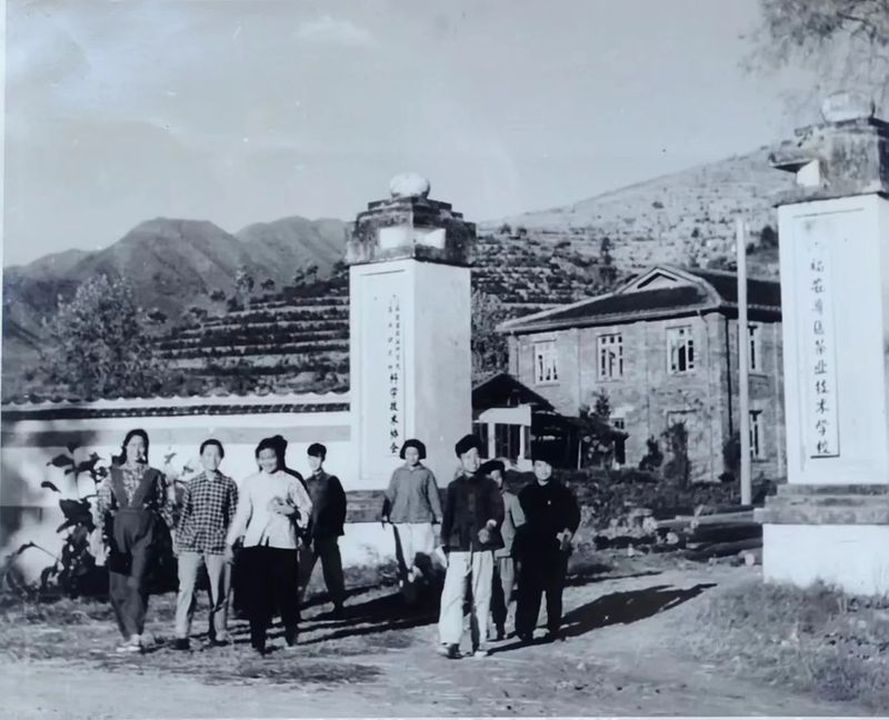 关于两岸茶人齐聚中国红茶之都——福建福安，为了这件大事的相关内容(7)