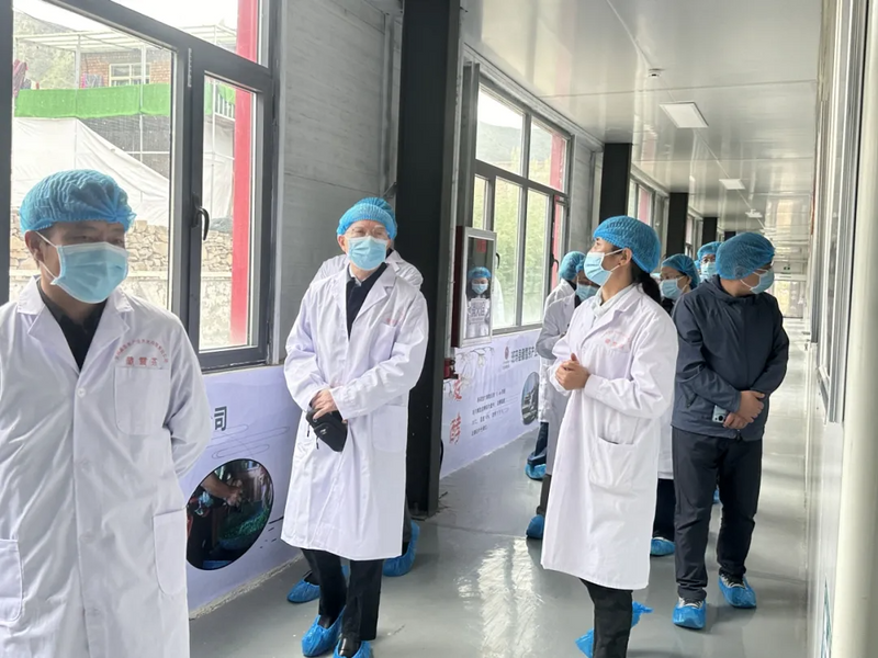 关于国家林草局调研组到班玛县调研指导藏雪茶产业发展等工作的资讯(1)