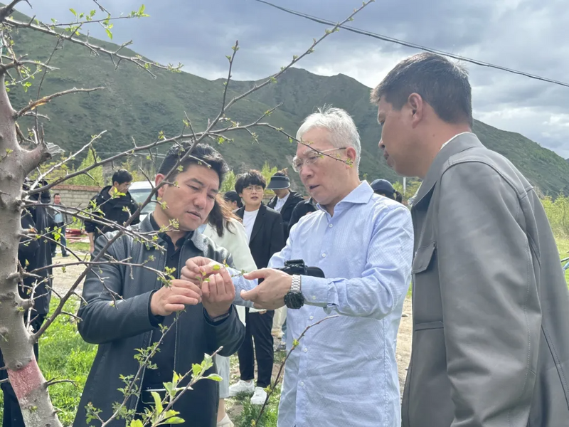 关于国家林草局调研组到班玛县调研指导藏雪茶产业发展等工作的资讯