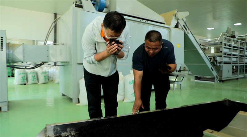 有关于安徽岳西:“小叶子”遇上“大专家”发挥大能量的消息(1)