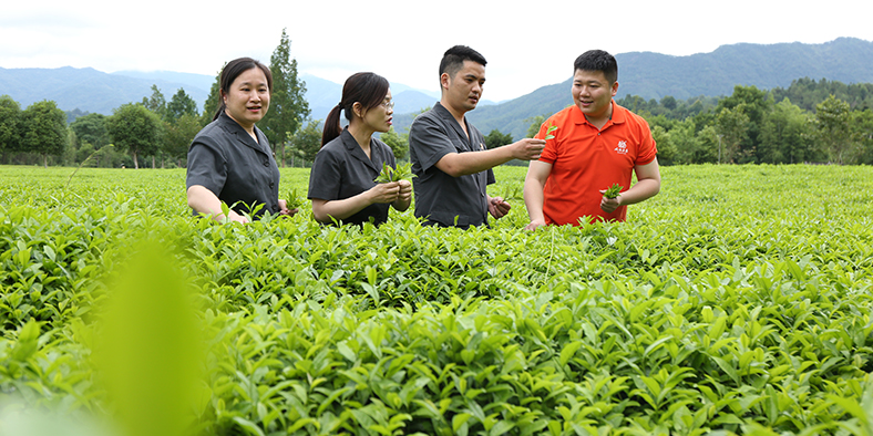 关于防微杜渐守平安 吃茶话事解民忧的信息(1)