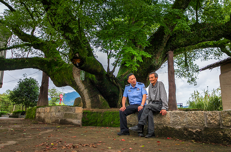 关于防微杜渐守平安 吃茶话事解民忧的信息