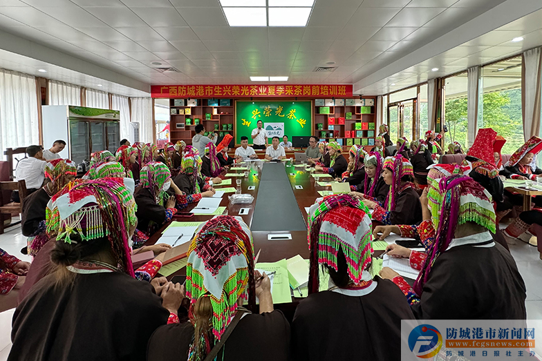 关于防城港市防城区：茶叶变“金叶” 带动大产业的资讯(2)