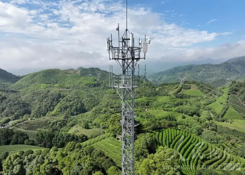 关于浙江武义：打造智慧茶园的资讯