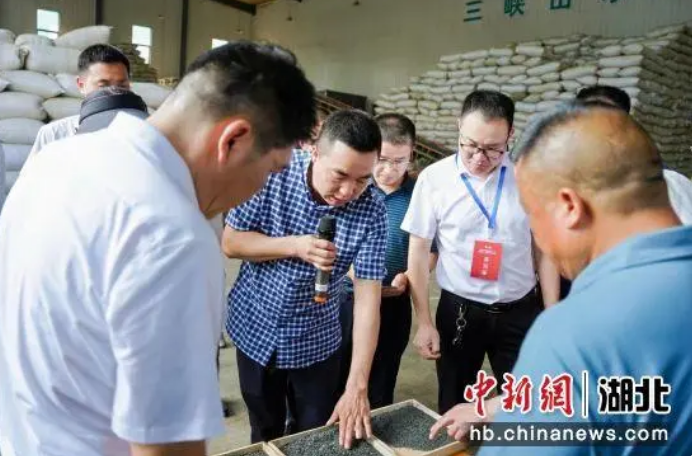 有关于400名专家、代表走进茶乡夷陵的信息(2)