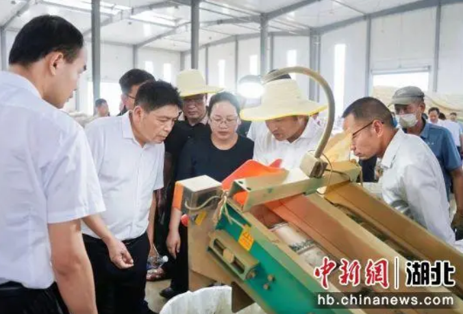 有关于400名专家、代表走进茶乡夷陵的信息(1)