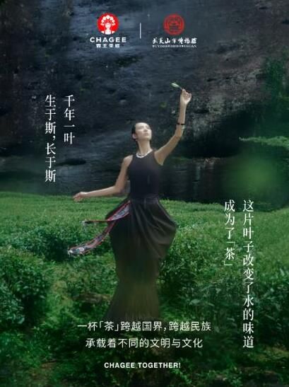 关于霸王茶姬联合武夷山市博物馆溯源红茶文化的信息