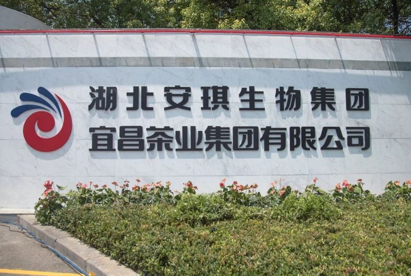 有关于“山南”茶区，珍品辈出——宜昌茶产业介绍的相关内容(2)