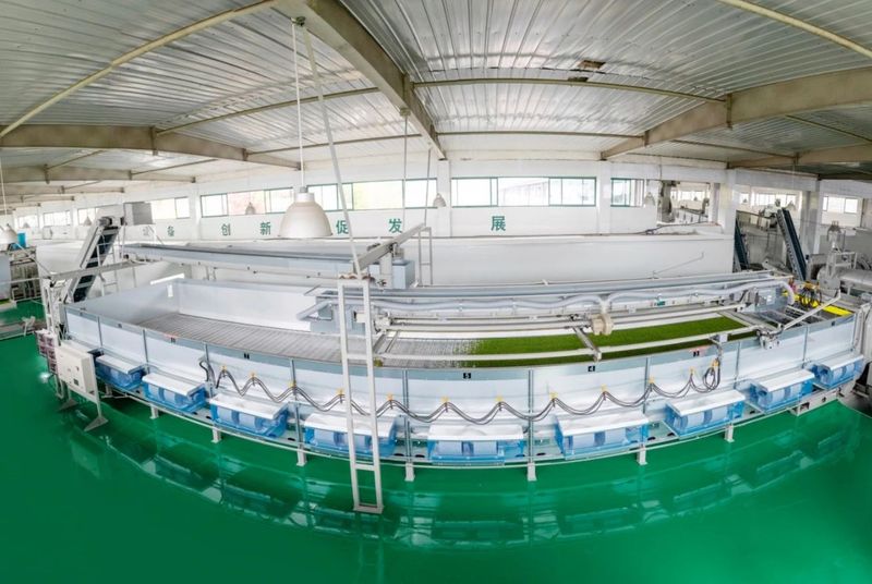 有关于“山南”茶区，珍品辈出——宜昌茶产业介绍的相关内容(3)