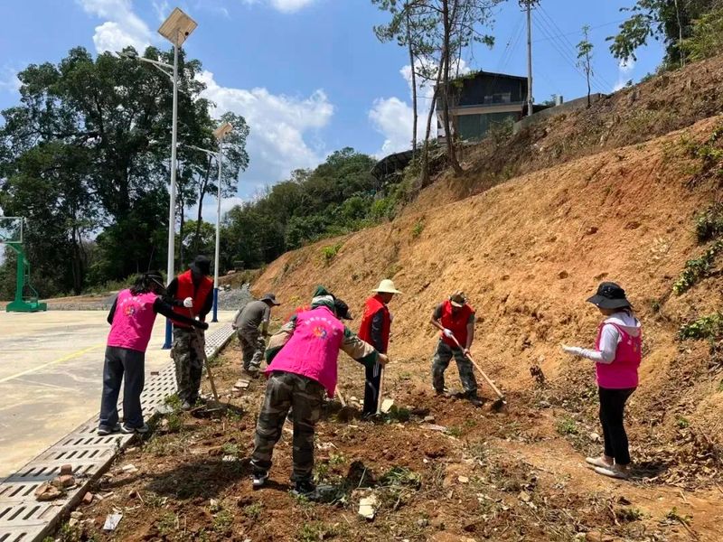 有关于勐腊县象明乡：深挖域内特色资源 探索茶旅融合之路的相关信息(2)