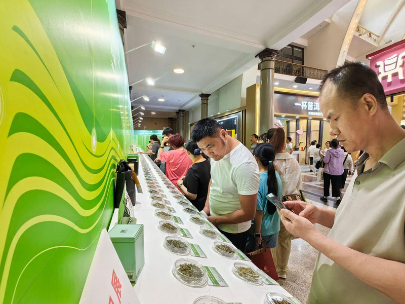 关于探中国名茶之美，展中国名茶风貌 400款茶样亮相“两展一节”的资讯(2)
