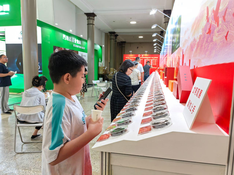 关于探中国名茶之美，展中国名茶风貌 400款茶样亮相“两展一节”的资讯