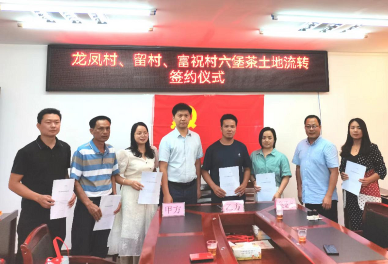 关于象棋镇三村携手茶企，共绘乡村振兴新画卷的相关信息