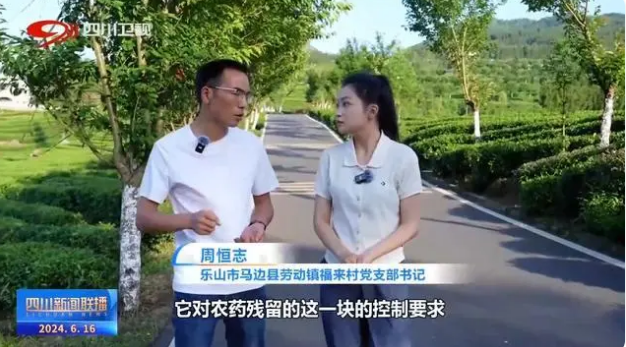 关于乐山马边：茶山上的绿色“加减法”的信息(3)