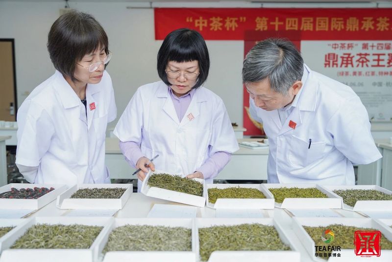 有关于“中茶杯”第十四届国际鼎承茶王赛·春季赛绿茶、红茶、黄茶、特种茶获奖名单揭晓！的信息(9)