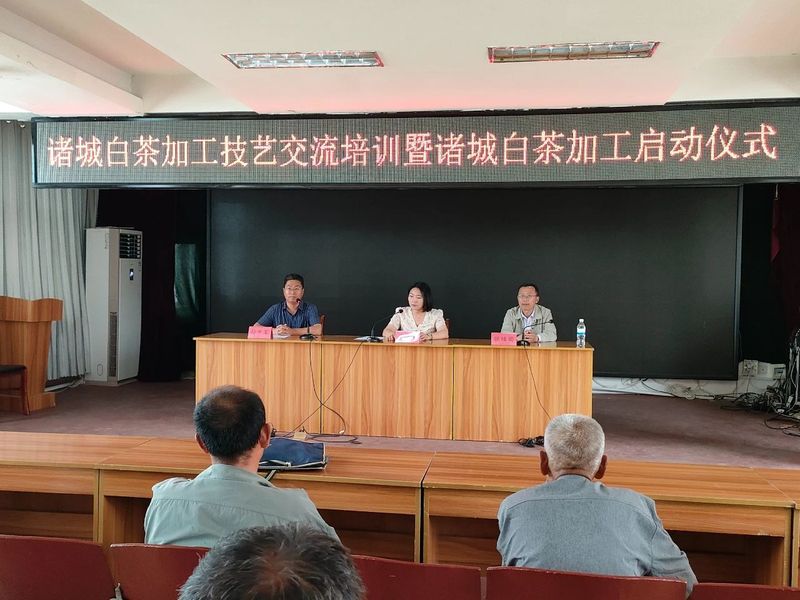 关于桃林镇成功举办茶叶发展论坛的新闻