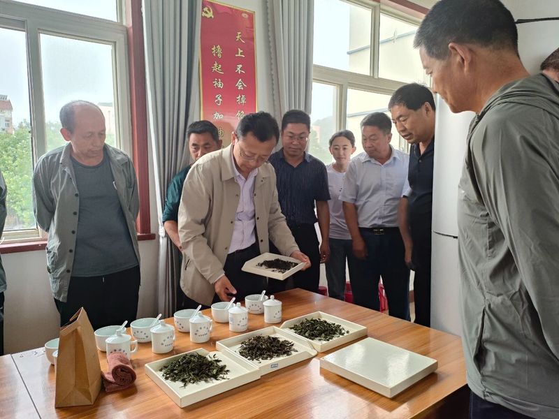 关于桃林镇成功举办茶叶发展论坛的新闻(4)