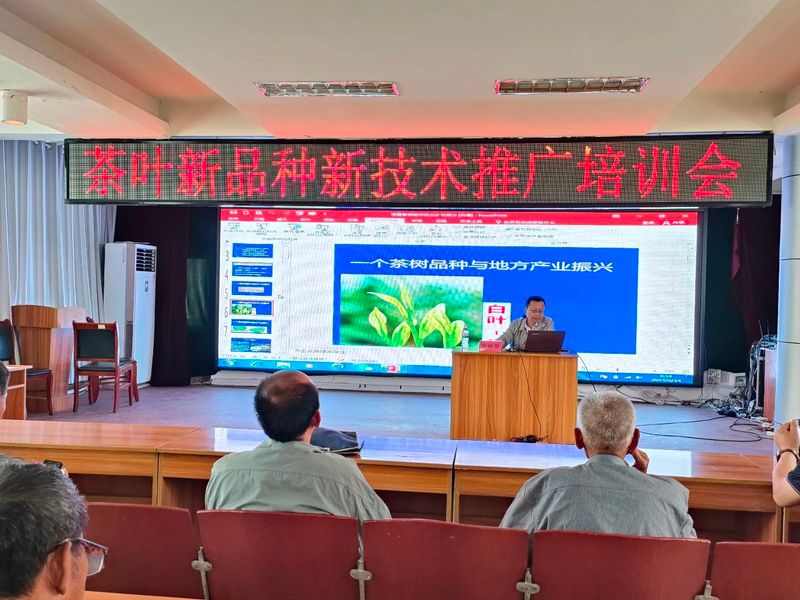 关于桃林镇成功举办茶叶发展论坛的新闻(3)