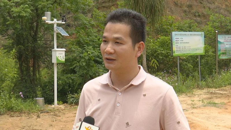 关于万秀区:多举措优化营商环境 助推六堡茶产业高质量发展的相关内容(3)