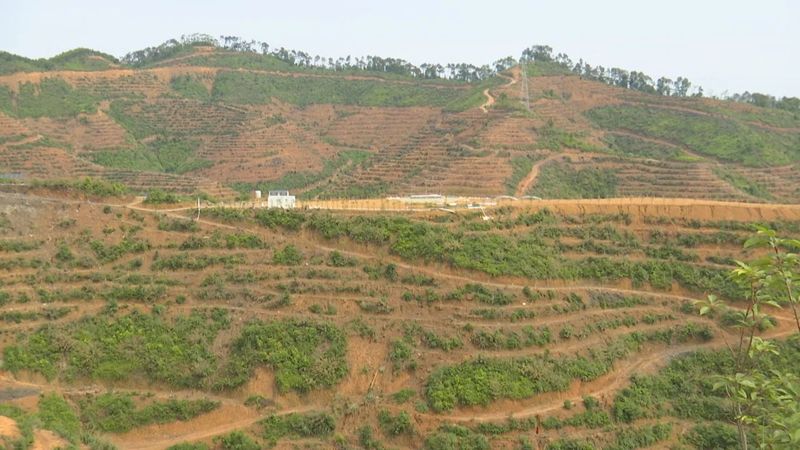 关于万秀区:多举措优化营商环境 助推六堡茶产业高质量发展的相关内容(2)