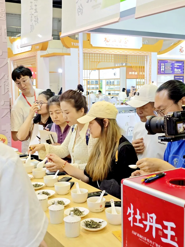 关于政和白茶亮相2024北京国际茶业展的相关信息(3)