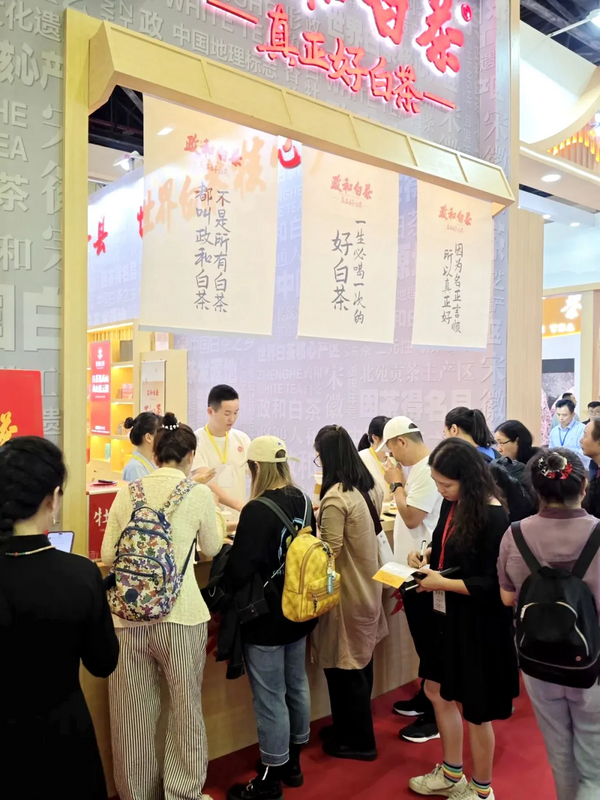 关于政和白茶亮相2024北京国际茶业展的相关信息(2)