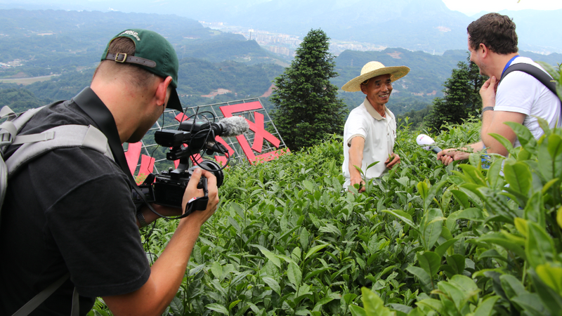 关于探熊猫故乡·品蜀风茶韵 中外媒体记者走进蒙顶山感受独特的茶文化魅力的相关信息(1)