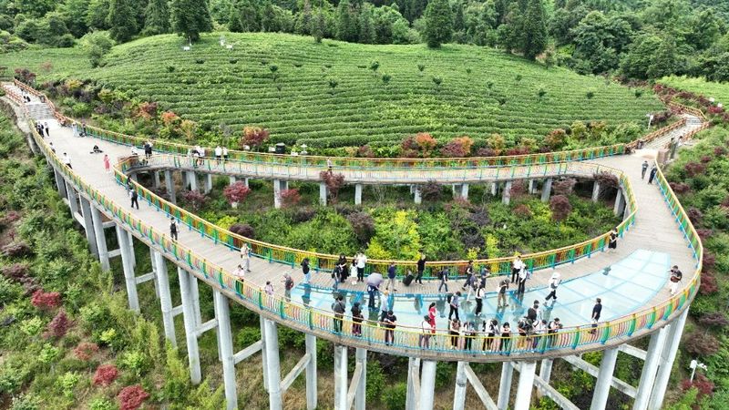 关于探熊猫故乡·品蜀风茶韵 中外媒体记者走进蒙顶山感受独特的茶文化魅力的相关信息