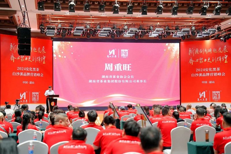 有关于白沙溪的信息(1)