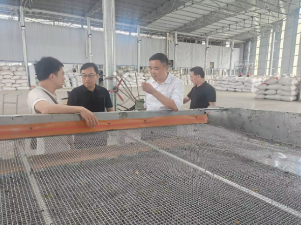 有关于为荣县茶产业质量安全护航：专家调研组开展全面摸底性调研的新闻(4)