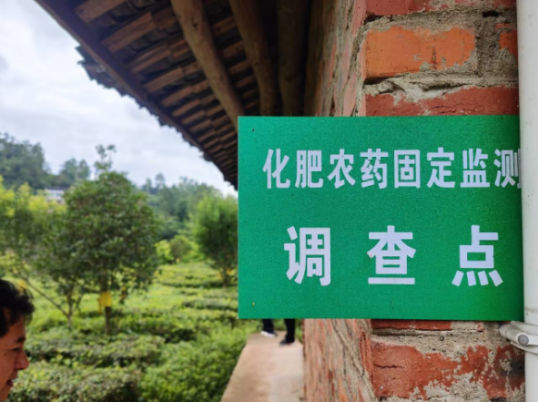 有关于为荣县茶产业质量安全护航：专家调研组开展全面摸底性调研的新闻(2)