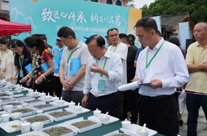 有关于匠心制好茶 28名制茶能手眉山洪雅“指尖较量”的相关内容(2)