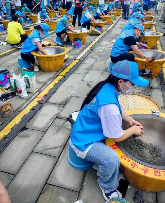 有关于匠心制好茶 28名制茶能手眉山洪雅“指尖较量”的相关内容(1)