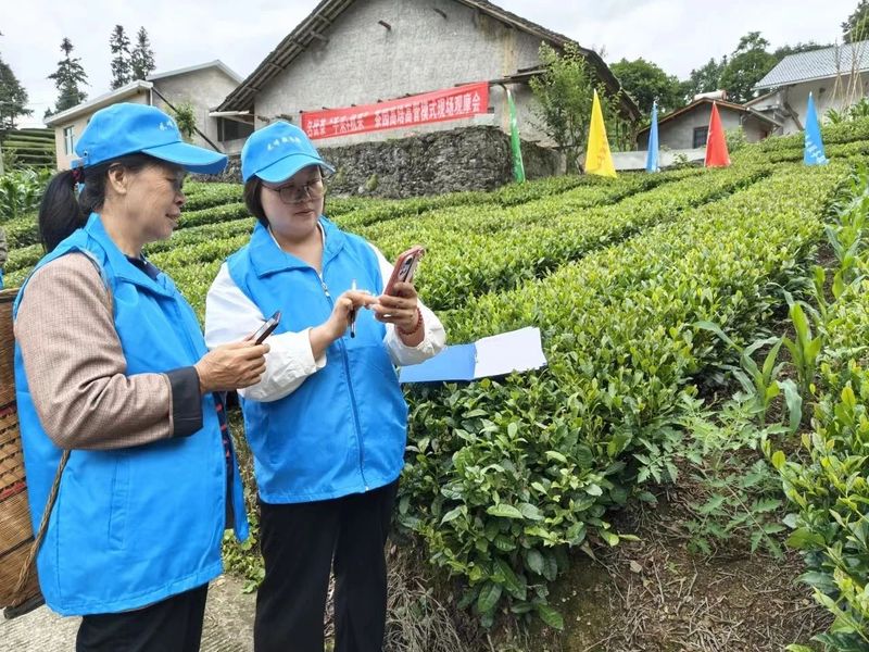 有关于技能培训进茶园，乡村振兴添动力的最新消息(2)