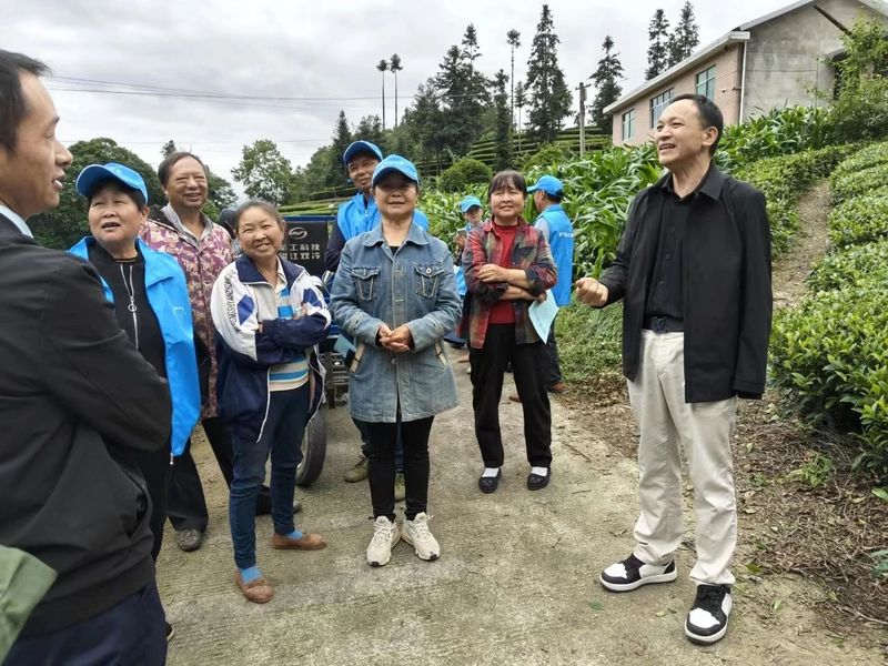 有关于技能培训进茶园，乡村振兴添动力的最新消息(1)