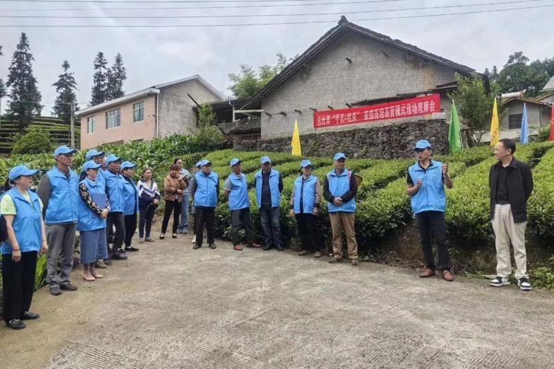 有关于技能培训进茶园，乡村振兴添动力的最新消息