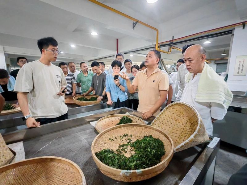 有关于以“妙手”论英雄！武义这场培训很实用！的资讯(1)