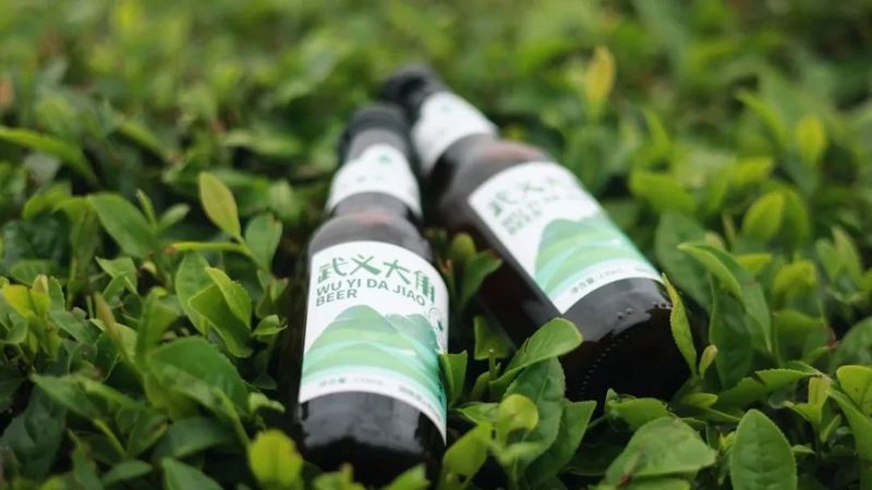 关于沏好共富“三杯茶”的最新消息(7)