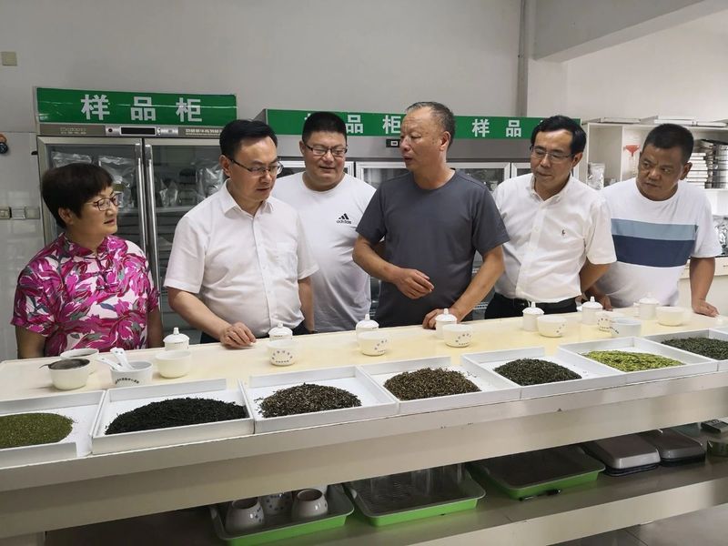 关于沏好共富“三杯茶”的最新消息(2)