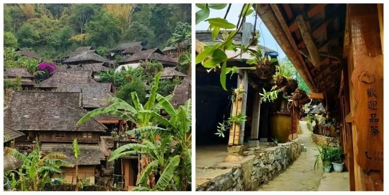 有关于世遗景迈·茶香古寨！“云南澜沧线”入选2024新茶饮茶文旅线路的消息(5)