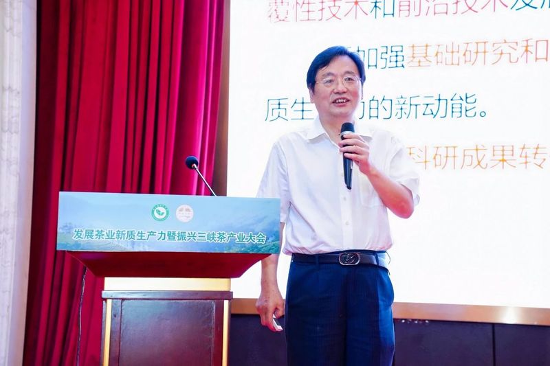 关于发展茶业新质生产力暨振兴三峡茶产业大会在夷陵成功召开的信息(1)