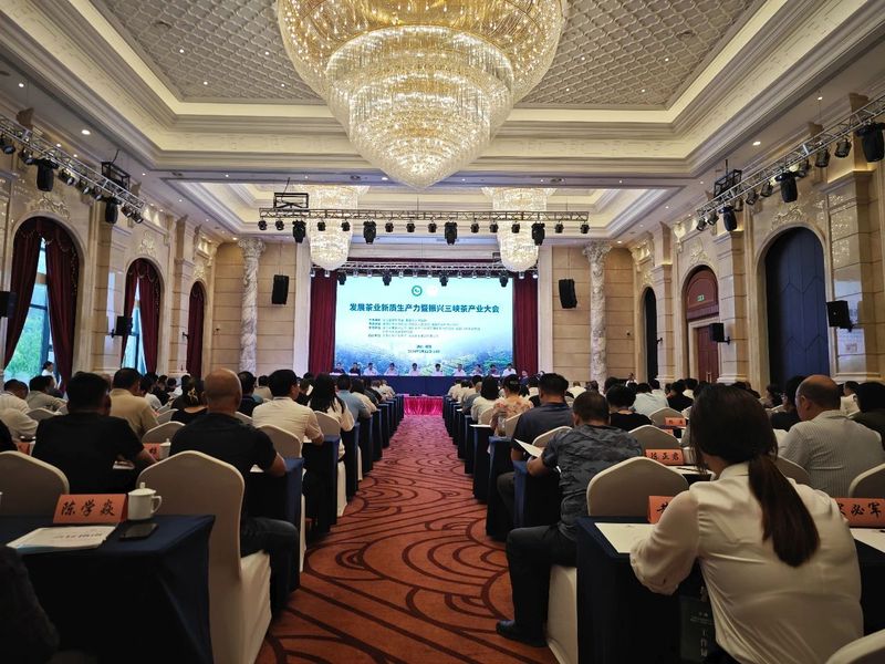 关于发展茶业新质生产力暨振兴三峡茶产业大会在夷陵成功召开的信息