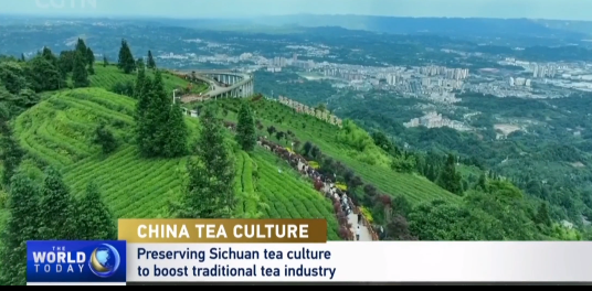 有关于CGTN报道蒙顶山茶  中国茶文化：传承四川茶文化振兴传统茶产业的信息