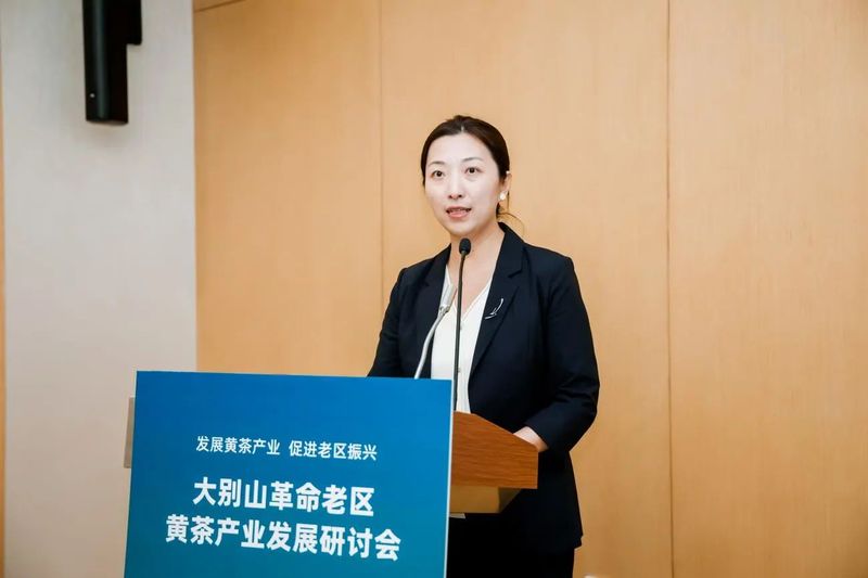 关于大别山革命老区黄茶产业发展交流会在京举行的资讯(3)