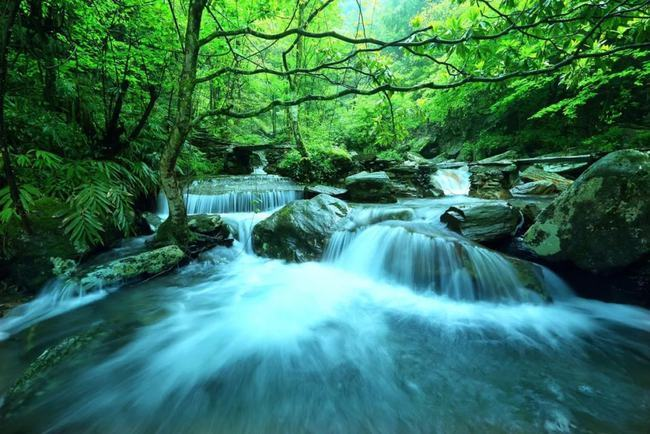 关于新化县奉家镇：如何讲好茶寿故事的资讯(1)