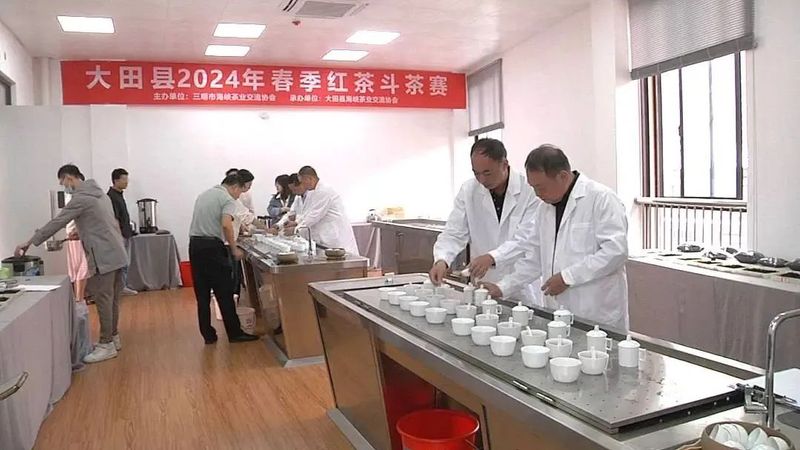 关于大田县2024年春季红茶斗茶赛举行的相关信息