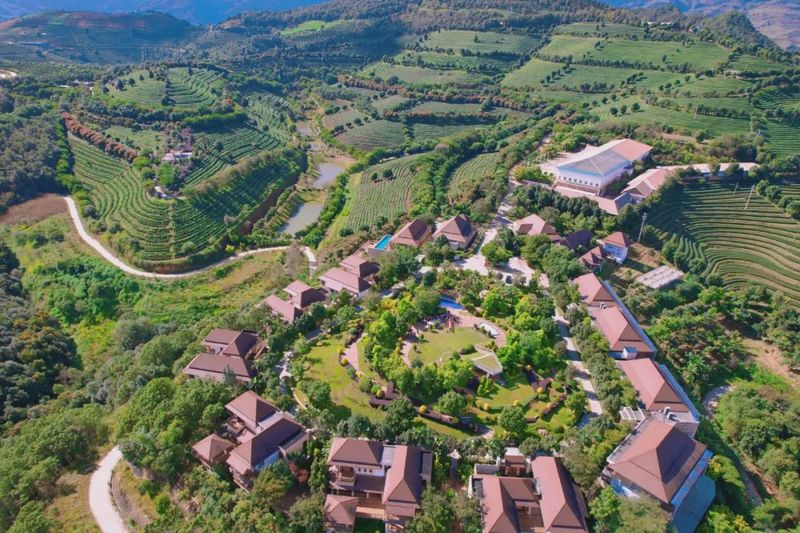 关于双江：打好“茶旅”牌 绘就融合发展新画卷的相关内容(2)