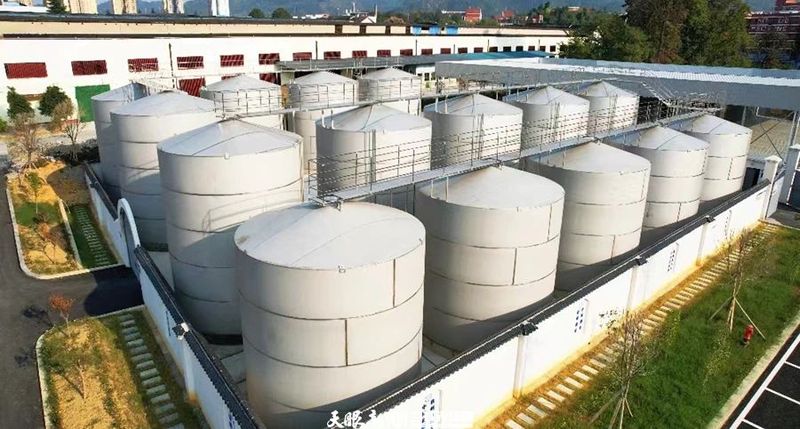 有关于走进茶海湄潭的十二时辰的相关内容(6)