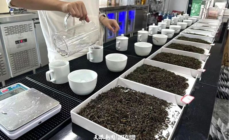 有关于走进茶海湄潭的十二时辰的相关内容(3)